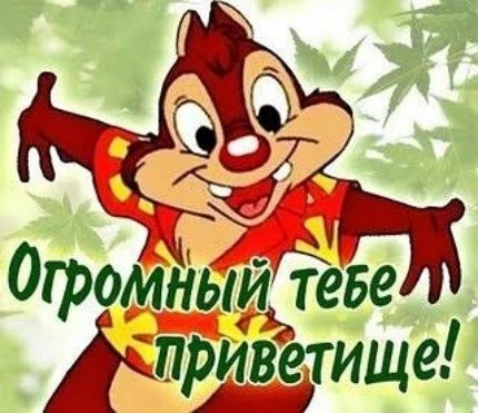 Огромный тебе приветище!
