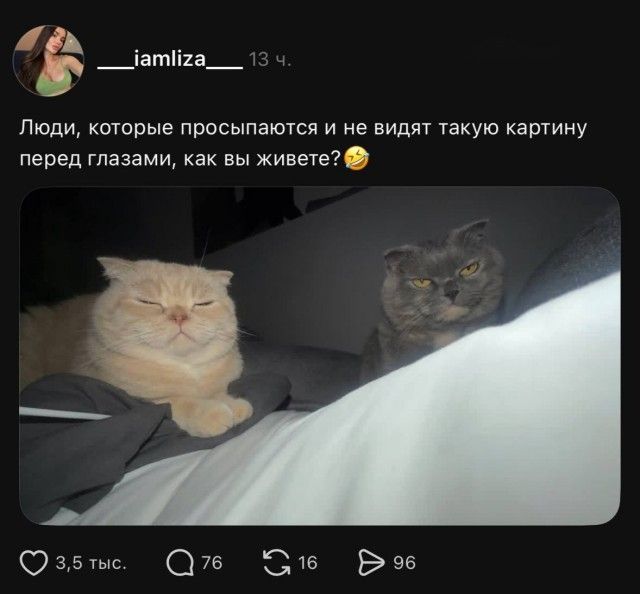___iamliza___ 13 ч. Люди, которые просыпаются и не видят такую картину перед глазами, как вы живете?