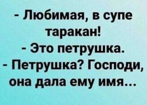 - Любимая, в супе таракан! - Это петрушка. - Петрушка? Господи, она дала ему имя...