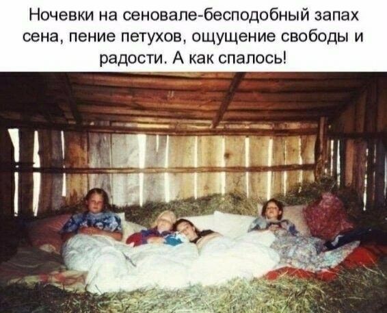 Ночевки на сеновале-бесподобный запах сена, пение петухов, ощущение свободы и радости. А как спалось!
