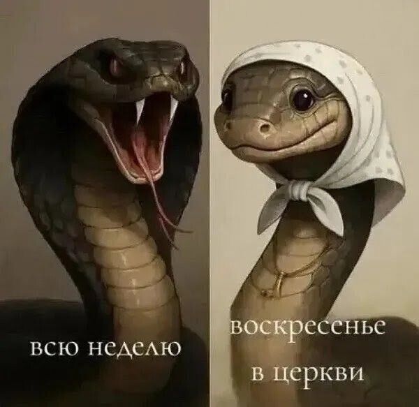 всю неделю, воскресенье в церкви