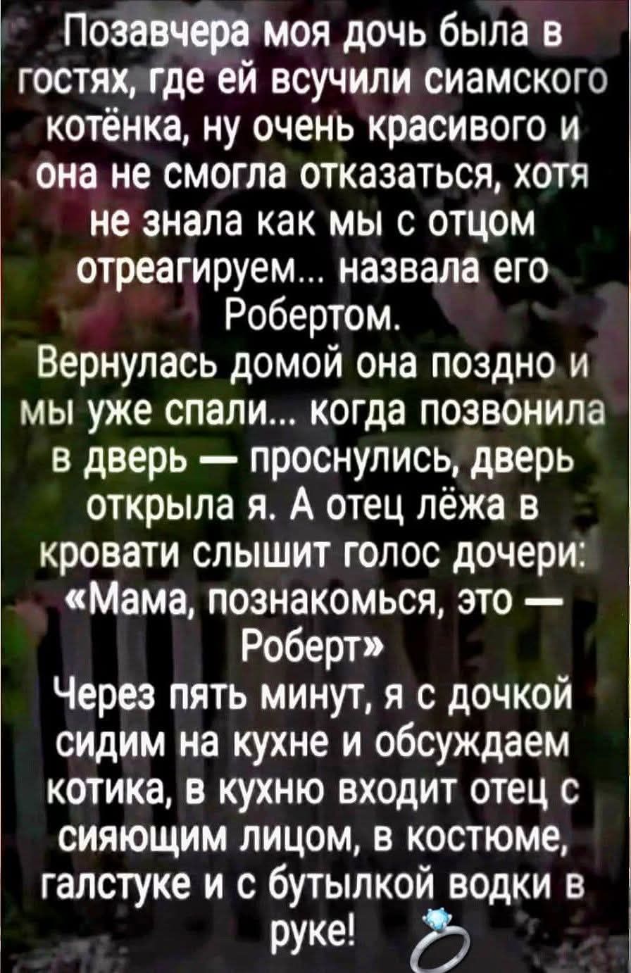Позавчера моя дочь была в гостях, где ей всучили сиамского котёнка, ну очень красивого и она не смогла отказаться, хотя не знала как мы с отцом отреагируем... назвала его Робертом. Вернулась домой она поздно и мы уже спали... когда позвонила в дверь — проснулись, дверь открыла я. А отец лёжа в кровати слышит голос дочери: «Мама, познакомься, это —