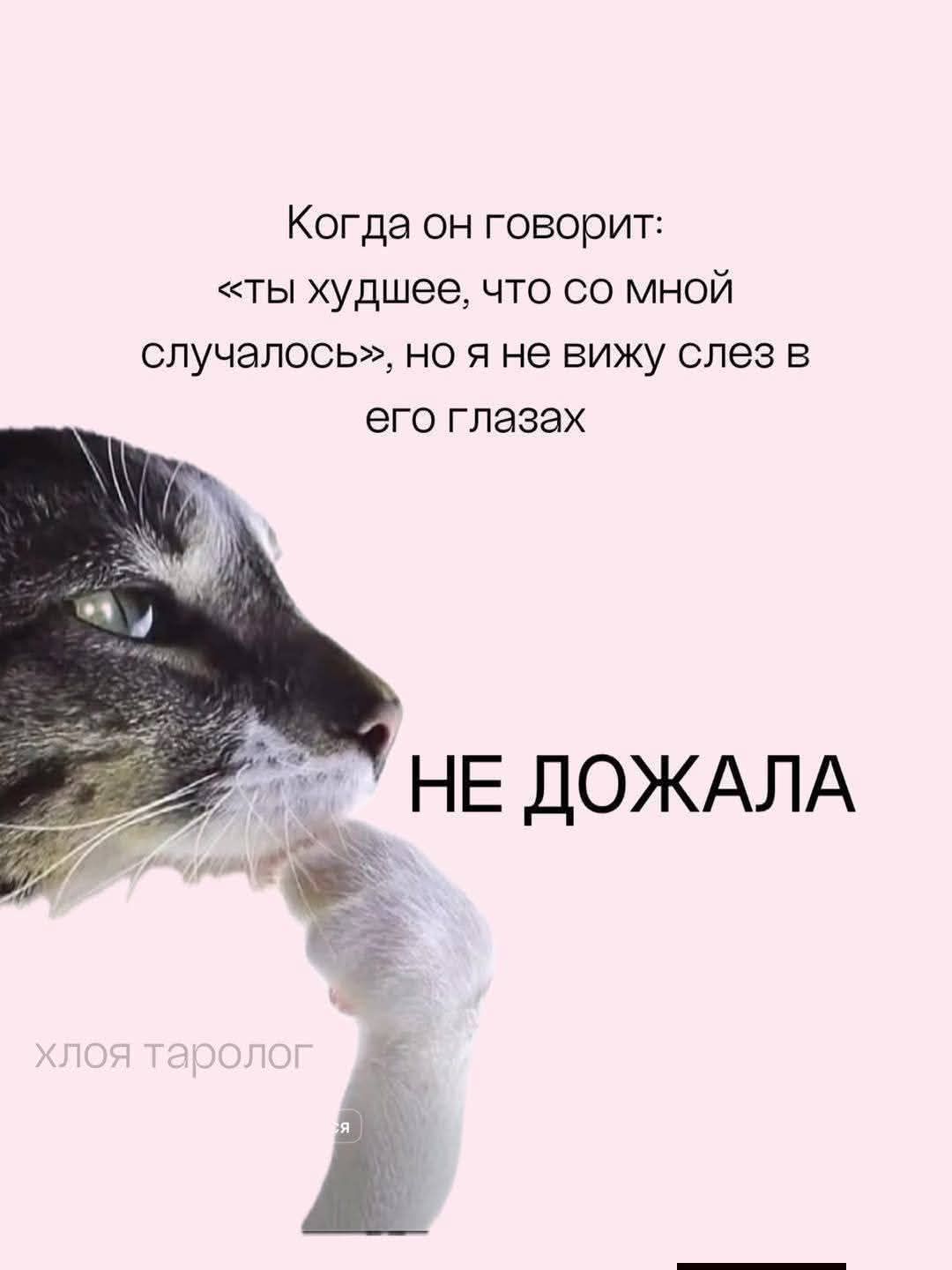 Когда он говорит: «ты худшее, что со мной случалось», но я не вижу слез в его глазах. НЕ ДОЖАЛА. ХЛОЯ ТАРОЛОГ
