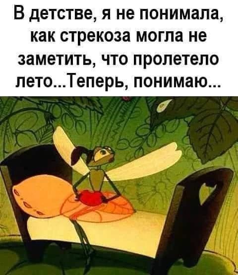 В детстве, я не понимала, как стрекоза могла не заметить, что пролетело лето...Теперь, понимаю...