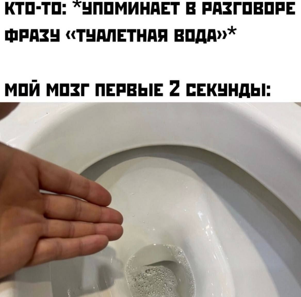 Кто-то: *упоминает в разговоре фразу «туалетная вода»* Мой мозг первые 2 секунды: