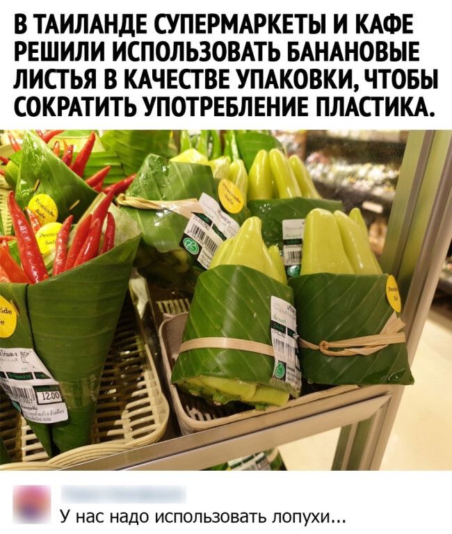 В Таиланде супермаркеты и кафе решили использовать банановые листья в качестве упаковки, чтобы сократить употребление пластика. У нас надо использовать лопухи...