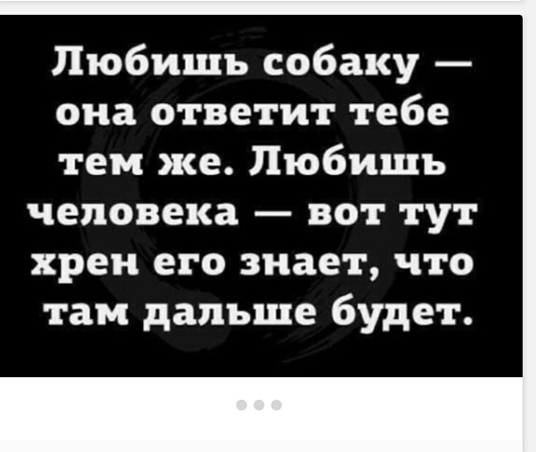 Любишь собаку — она ответит тебе тем же. Любишь человека — вот тут хрен его знает, что там дальше будет.