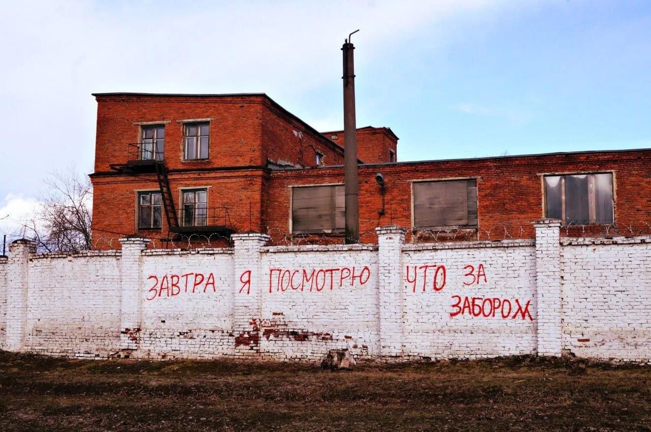 ЗАВТРА Я ПОСМОТРЮ ЧТО ЗА ЗАБОРОМ