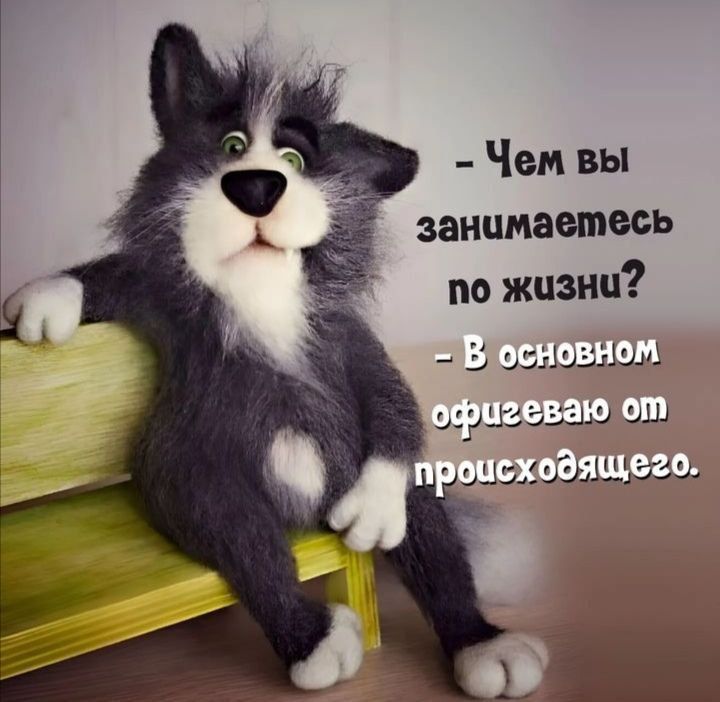 - Чем вы занимаетесь по жизни? - В основном офигеваю от происходящего.