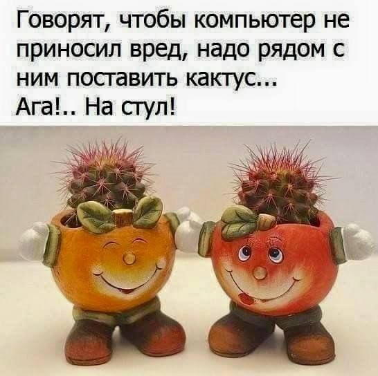 Говорят, чтобы компьютер не приносил вред, надо рядом с ним поставить кактус... Ага!.. На стул!