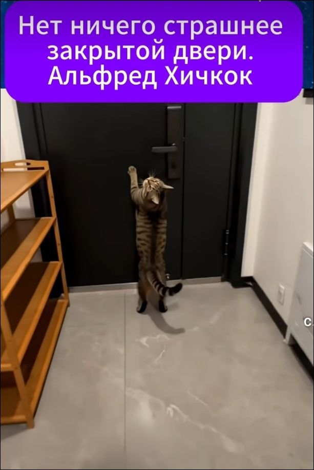 Нет ничего страшнее закрытой двери. Альфред Хичкок