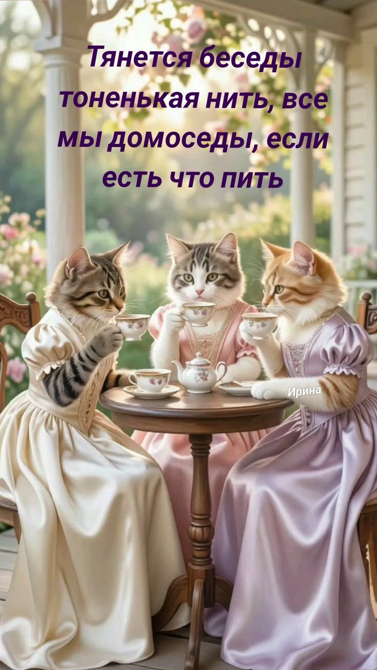Тянется беседы тоненькая нить, все мы домоседы, если есть что пить