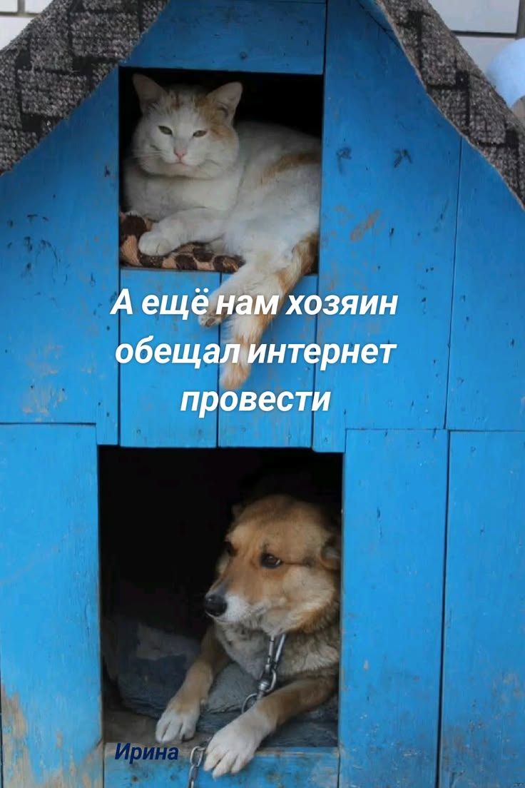 А ещё нам хозяин обещал интернет провести