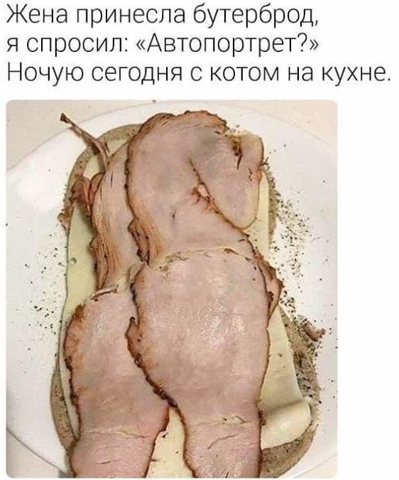 Жена принесла бутерброд, я спросил: «Автопортрет?» Ночую сегодня с котом на кухне.