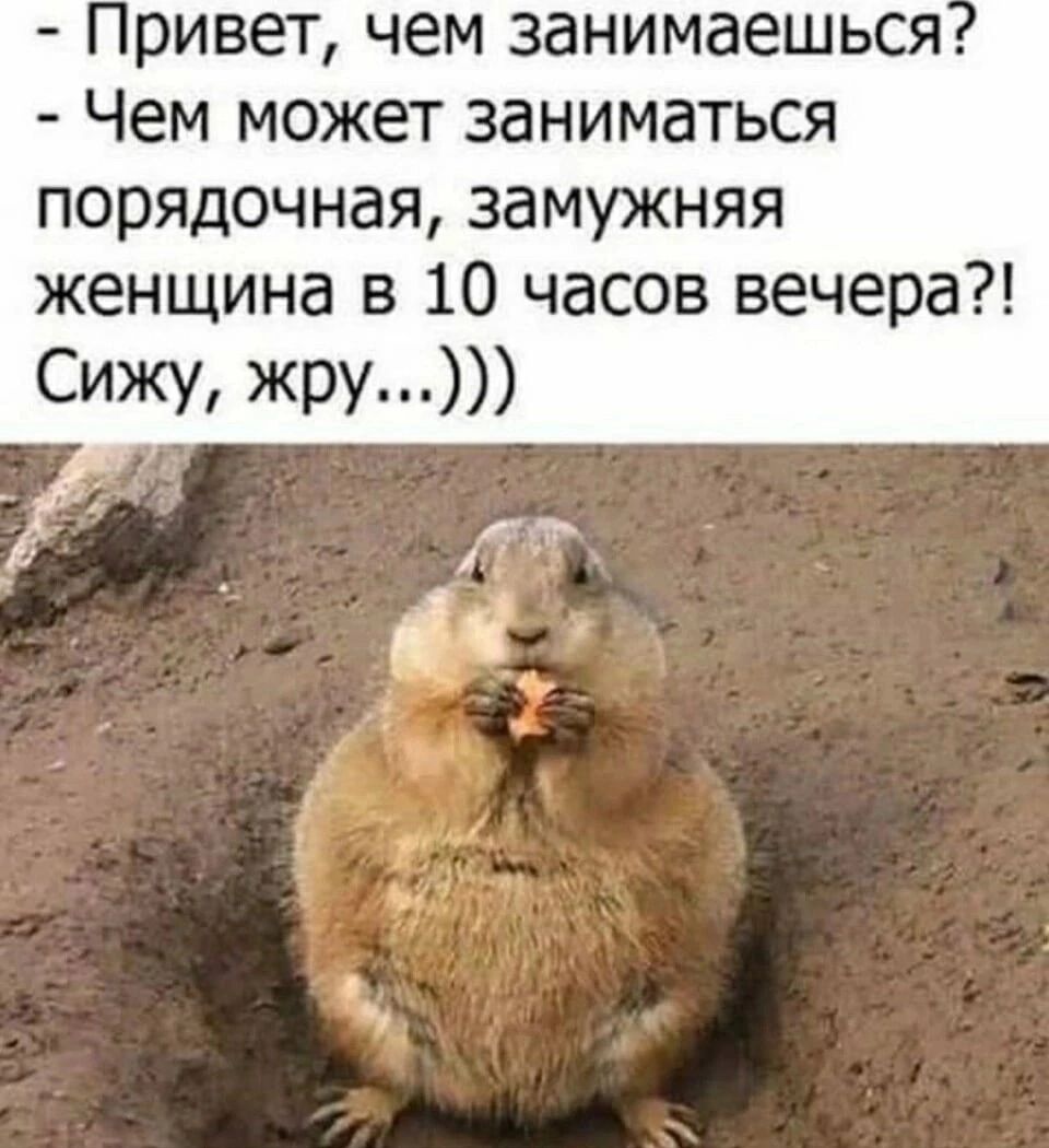 Привет, чем занимаешься? - Чем может заниматься порядочная, замужняя женщина в 10 часов вечера?! Сижу, жру...)))