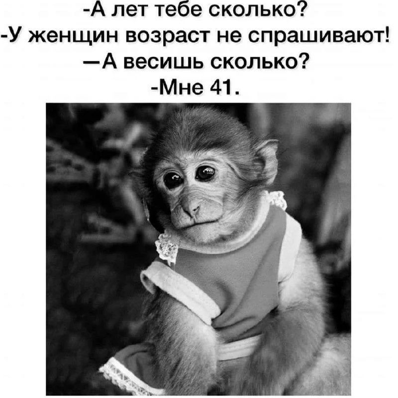 -А лет тебе сколько?
-У женщин возраст не спрашивают!
-А весишь сколько?
-Мне 41.