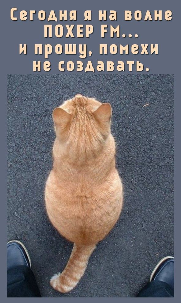 Сегодня я на волне ПОХЕР FM... и прошу, помехи не создавать.