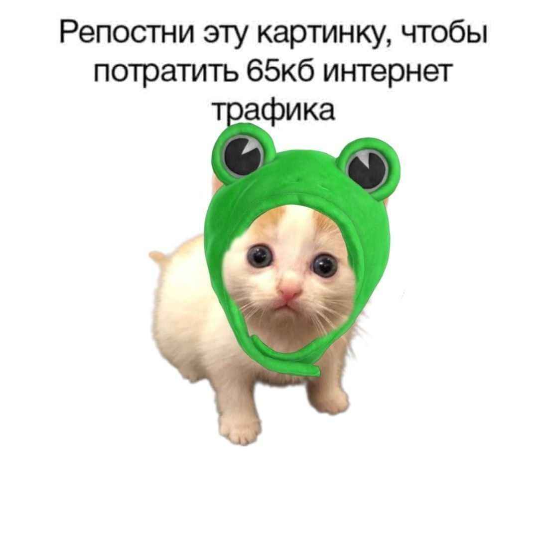 Репостни эту картинку, чтобы потратить 65кб интернет трафика