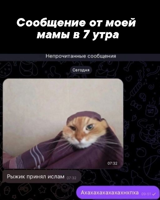 Сообщение от моей мамы в 7 утра Непрочитанные сообщения Сегодня Рыжик принял ислам Ахахахахахахахнхпха