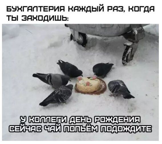 БУХГАЛТЕРИЯ КАЖДЫЙ РАЗ, КОГДА ТЫ ЗАХОДИШЬ: У КОЛЛЕГИ ДЕНЬ РОЖДЕНИЯ СЕЙЧАС ЧАЙ ПОПЬЁМ ПОДОЖДИТЕ