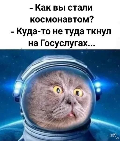 - Как вы стали космонавтом? - Куда-то не туда ткнул на Госуслугах...