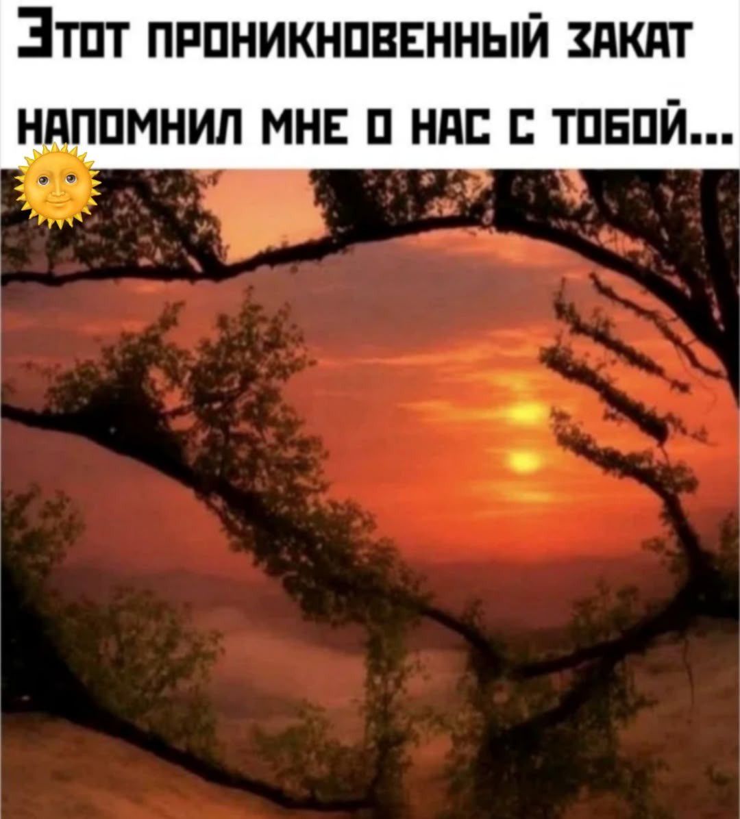Этот проникновенный закат напомнил мне о нас с тобой...