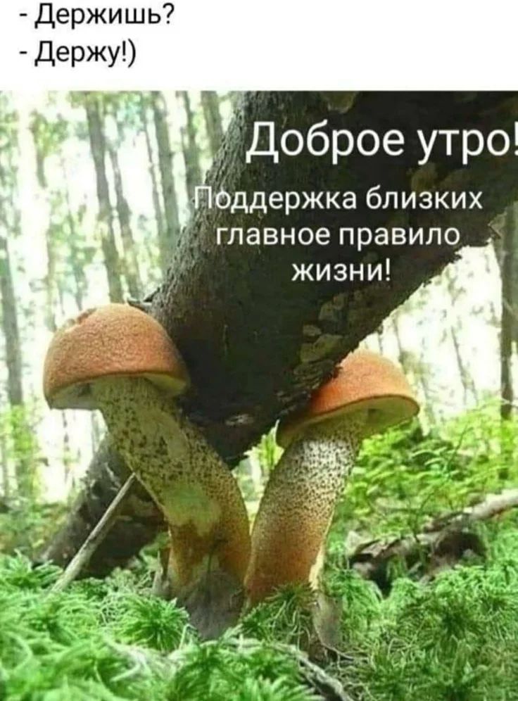 Держишь? Держу! Доброе утро! Поддержка близких главное правило жизни!