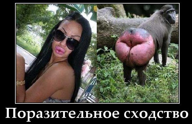 Поразительное сходство