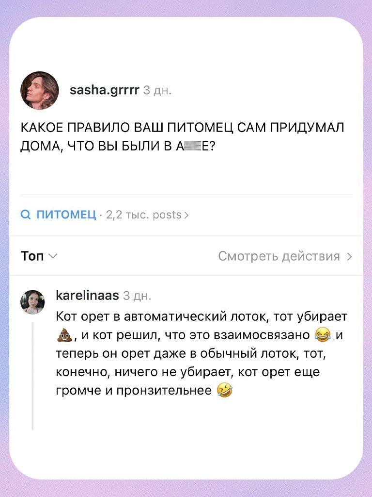 sasha.grrrr 3 дн. КАКОЕ ПРАВИЛО ВАШ ПИТОМЕЦ САМ ПРИДУМАЛ ДОМА, ЧТО ВЫ БЫЛИ В АФИГЕ? Q ПИТОМЕЦ · 2,2 тыс. posts > Топ СМОТРЕТЬ действия > karelinaas 3 дн. Кот орет в автоматический лоток, тот убирает какашки, и кот решил, что это взаимосвязано и теперь он орет даже в обычный лоток, тот, конечно, ничего не убирает, кот орет еще громче и