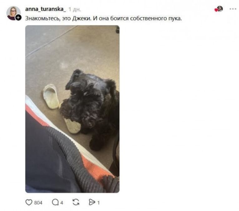 Знакомьтесь, это Джеки. И она боится собственного пука.