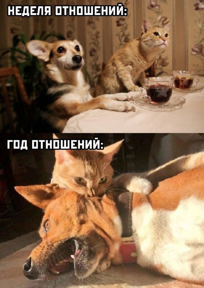 НЕДЕЛЯ ОТНОШЕНИЙ: ГОД ОТНОШЕНИЙ: