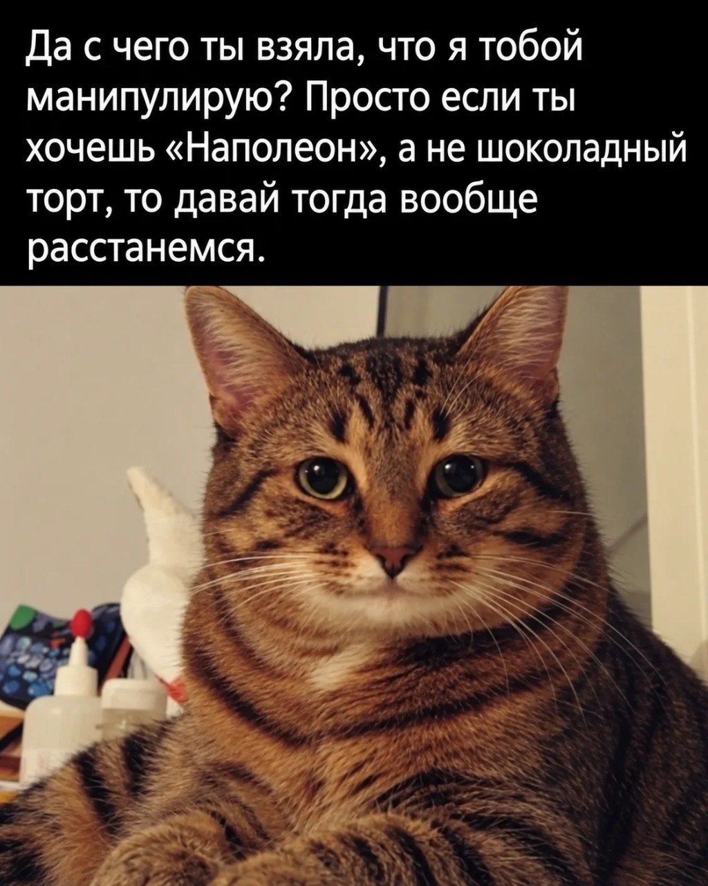 Да с чего ты взяла, что я тобой манипулирую? Просто если ты хочешь «Наполеон», а не шоколадный торт, то давай тогда вообще расстанемся.