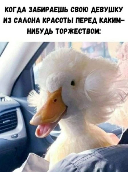 КОГДА ЗАБИРАЕШЬ СВОЮ ДЕВУШКУ ИЗ САЛОНА КРАСОТЫ ПЕРЕД КАКИМ-НИБУДЬ ТОРЖЕСТВОМ: