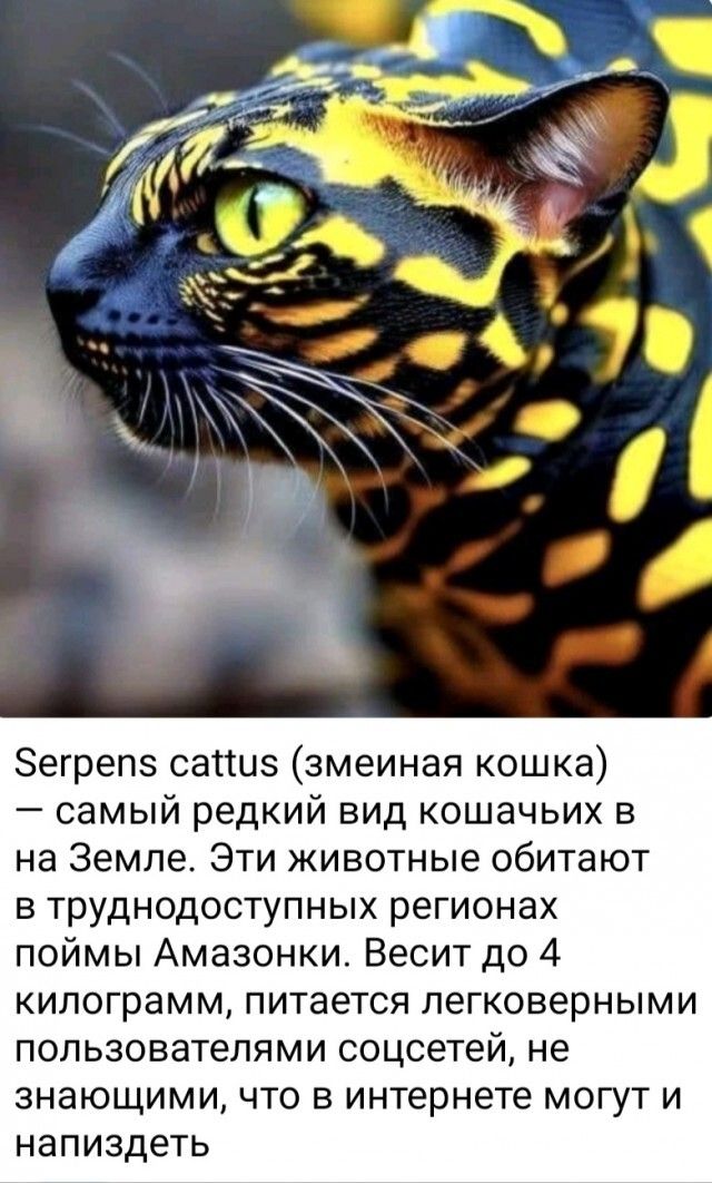 Serpens cattus (змеиная кошка) — самый редкий вид кошачьих на Земле. Эти животные обитают в труднодоступных регионах поймы Амазонки. Весит до 4 килограмм, питается легковерными пользователями соцсетей, не знающими, что в интернете могут и напиздеть