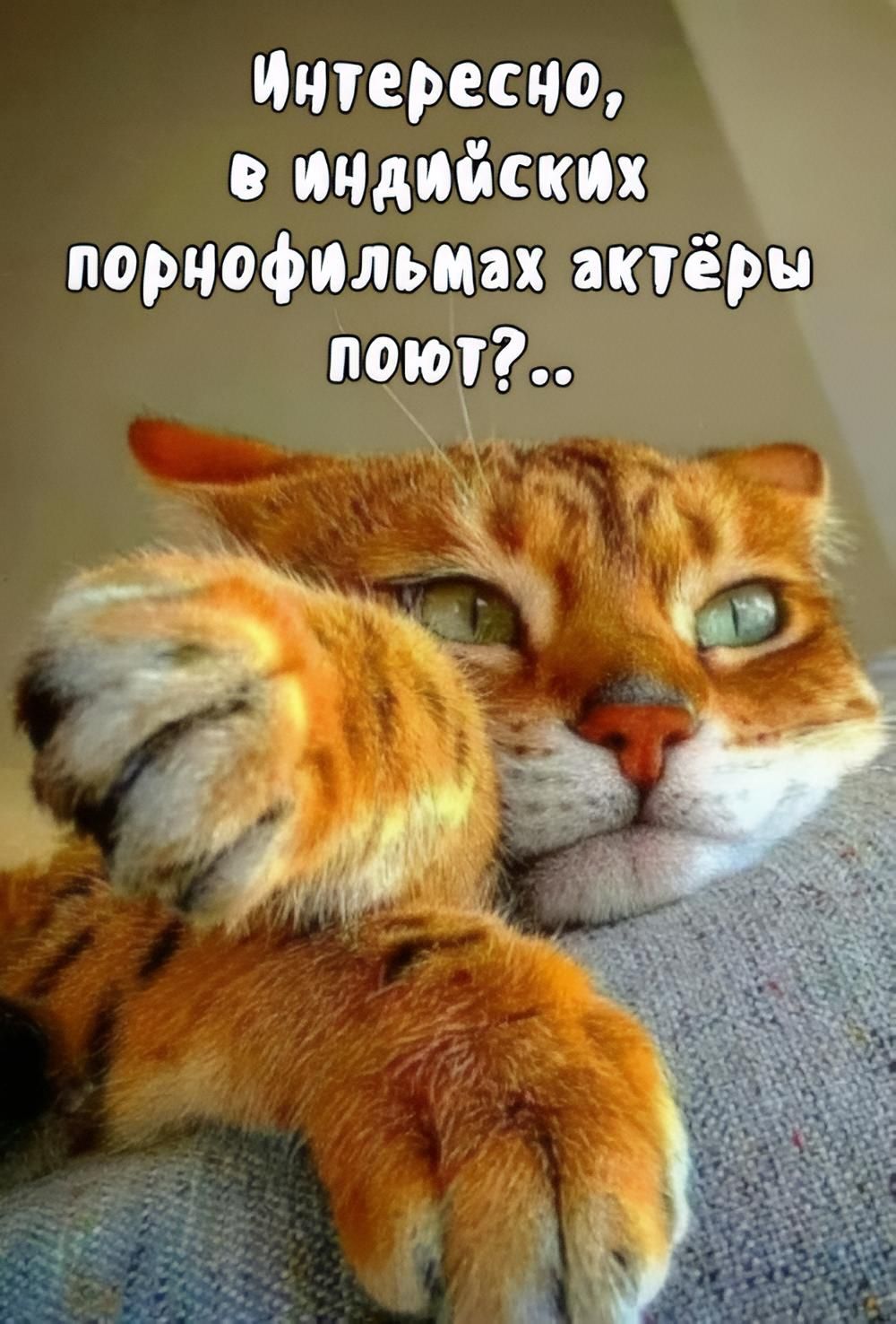 Интересно, в индийских порнофильмах актёры поют?..