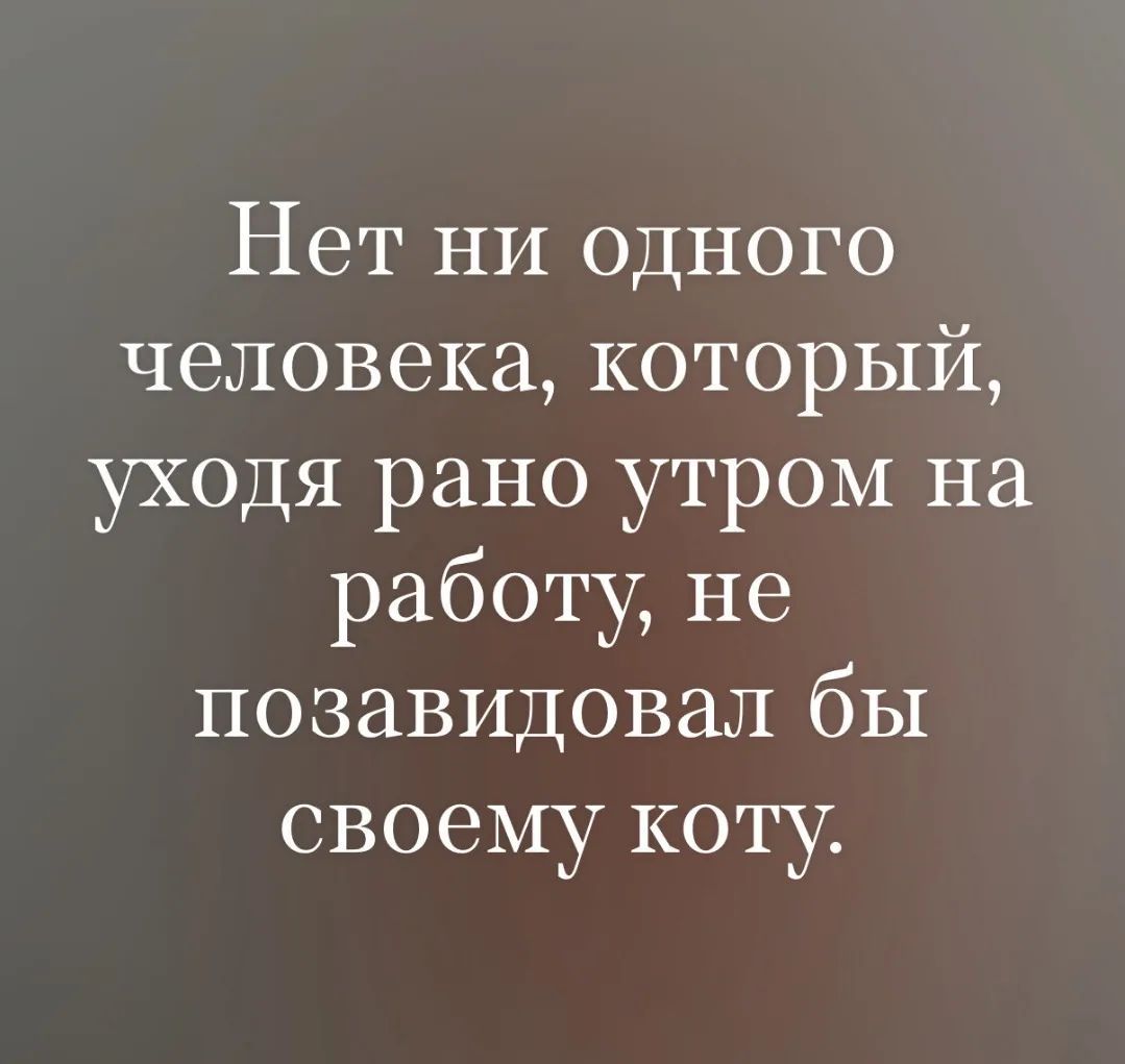 Нет ни одного человека, который, уходя рано утром на работу, не позавидовал бы своему коту.
