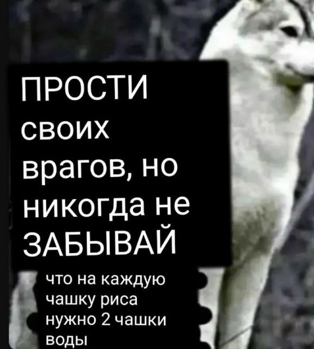 ПРОСТИ СВОИХ ВРАГОВ, НО НИКОГДА НЕ ЗАБЫВАЙ что на каждую чашку риса нужно 2 чашки воды