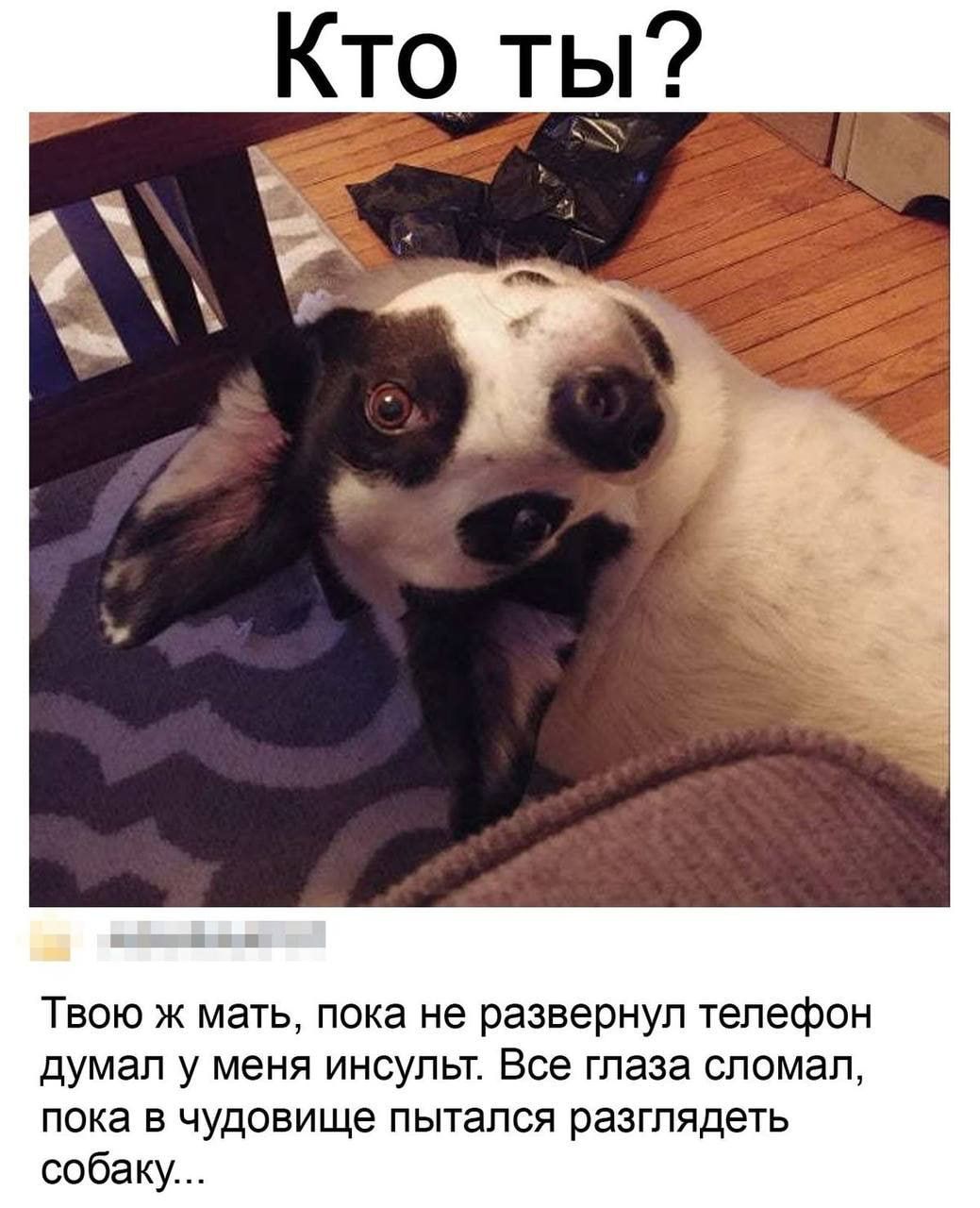 Кто ты? Твою ж мать, пока не развернул телефон думал у меня инсульт. Все глаза сломал, пока в чудовище пытался разглядеть собаку...