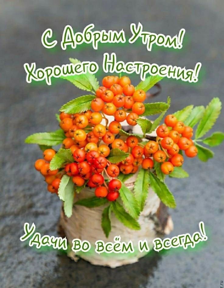 С Добрым Утром! Хорошего Настроения! Удачи во всём и всегда!