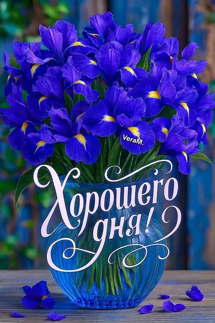 Хорошего дня! VeraM.