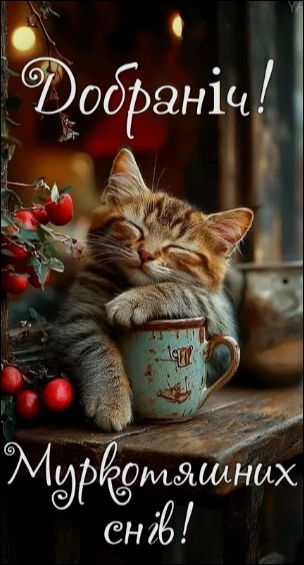 Добраніч! Муркотящих снів!