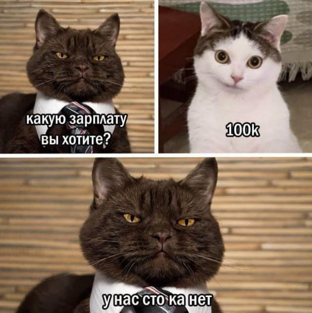 какую зарплату вы хотите? 100k у нас сто ка нет