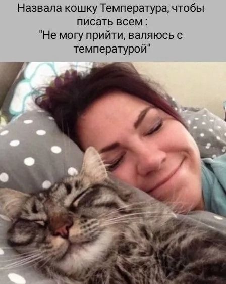 Назвала кошку Температура, чтобы писать всем: 