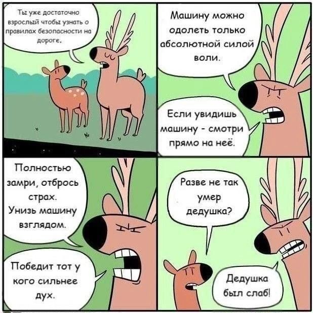 Ты уже достаточно взрослый чтобы узнать о правилах безопасности на дороге. Машину можно одолеть только абсолютной силой воли. Если увидишь машину - смотри прямо на неё. Полностью замри, отбрось страх. Унизь машину взглядом. Победит тот у кого сильнее дух. Разве не так умер дедушка? Дедушка был слаб!