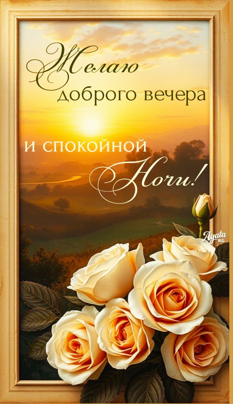 Желаю доброго вечера и спокойной ночи!