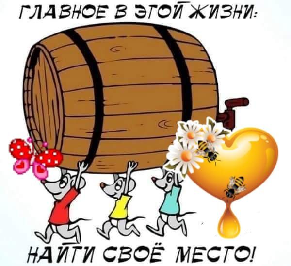 ГЛАВНОЕ В ЭТОЙ ЖИЗНИ: НАЙТИ СВОЁ МЕСТО!