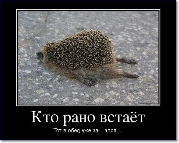 Кто рано встаёт Тот в обед уже за...ался....