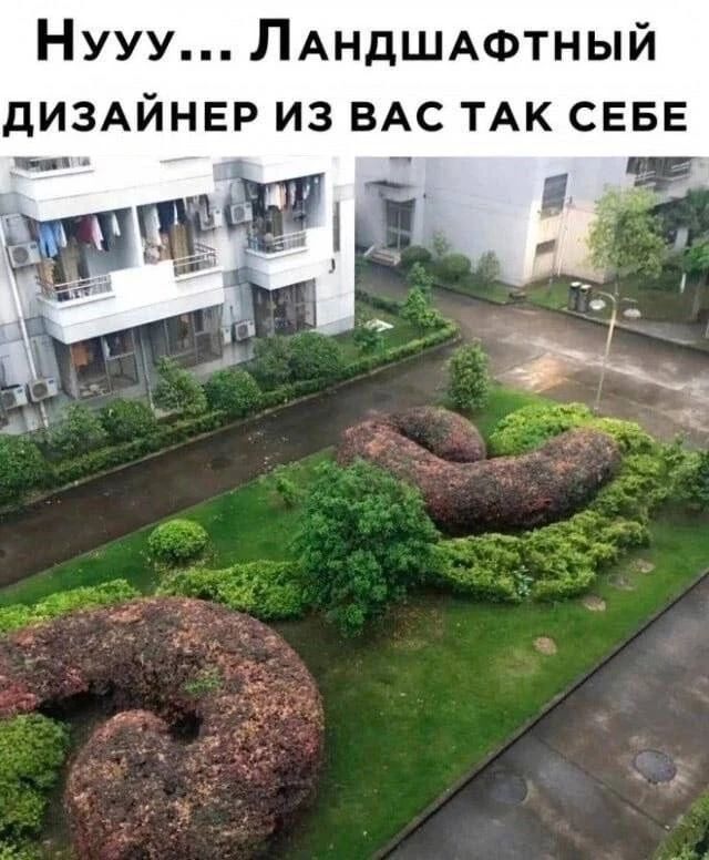 Нууу... Ландшафтный дизайнер из вас так себе