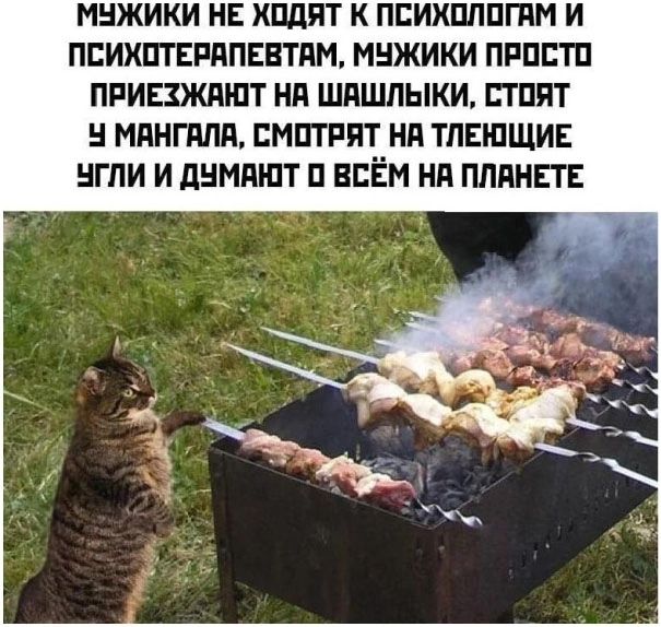 МУЖИКИ НЕ ХОДЯТ К ПСИХОЛОГАМ И ПСИХОТЕРАПЕВТАМ, МУЖИКИ ПРОСТО ПРИЕЗЖАЮТ НА ШАШЛЫКИ, СТОЯТ У МАНГАЛА, СМОТРЯТ НА ТЛЕЮЩИЕ УГЛИ И ДУМАЮТ О ВСЁМ НА ПЛАНЕТЕ