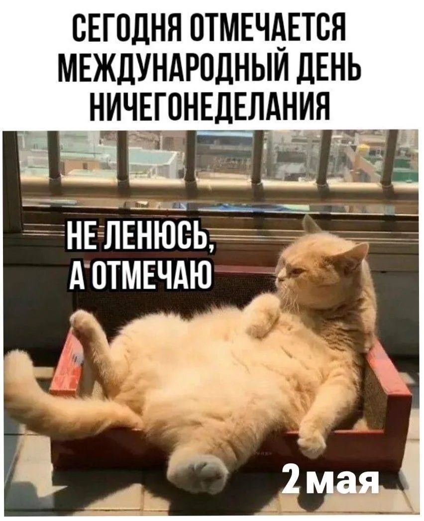 Сегодня отмечается Международный день ничегонеделания. Не ленюсь, а отмечаю. 2 мая.
